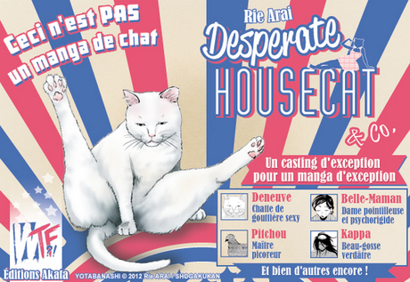 desperate_housecat
