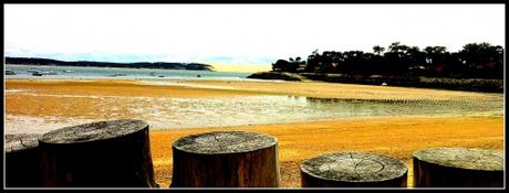 Max | le Bassin pylabois.jpg