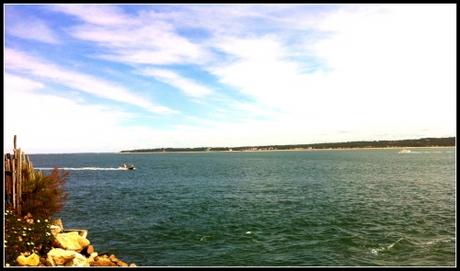 Max | le Bassin bateauarca88.jpg