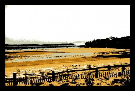 Max | le Bassin arcasilence88.jpg