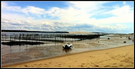 Max | le Bassin 076bis.jpg