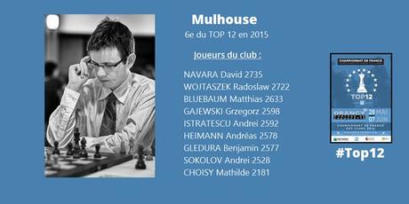 L'équipe de Mulhouse qui pourra compter sur son duo de choc à plus de 2700 points Elo, David Navara et Radek Wojtaszek - Illustration © FFE