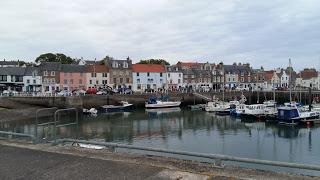 Quelques réflexions au débotté : Anniversaire, Trump, œufs tondus, gâchis… Quelques réflexions au débotté : Anniversaire, Trump, œufs tondus, gâchis…