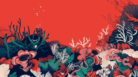 Discoveries No.25 Jeannie Phan Les illustrations de Jeannie Phan
