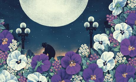 Discoveries No.25 Jeannie Phan Les illustrations de Jeannie Phan