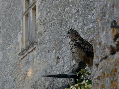 Lot et Dordogne en famille Lot et Dordogne en famille