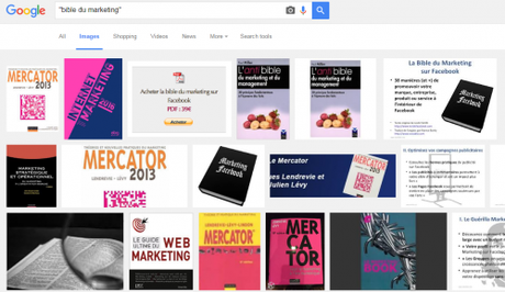 Comment être sûr que son eBook, sa formation vidéo, son livre blanc…. sera un succès ? bible du marketing