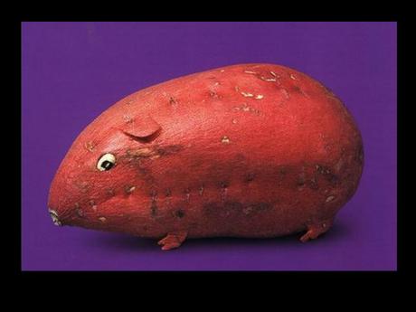 Divers - Quand le cuisinier s'ennuie 4 Divers - Quand le cuisinier s'ennuie 4