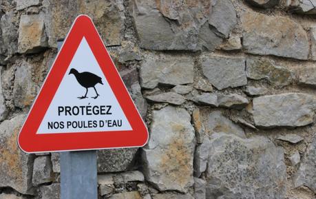 Le Gangan‘s birthday chez les manchots ! Barfleur