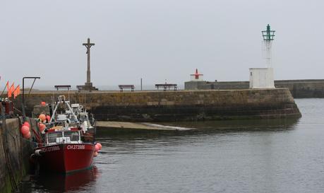 Le Gangan‘s birthday chez les manchots ! Barfleur