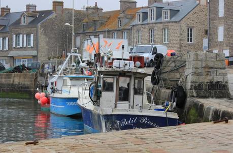 Le Gangan‘s birthday chez les manchots ! Barfleur