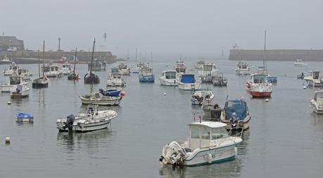 Le Gangan‘s birthday chez les manchots ! Barfleur
