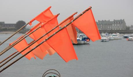 Le Gangan‘s birthday chez les manchots ! Barfleur