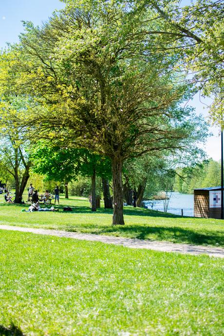 Favoris mai 2016 Favoris mai 2016