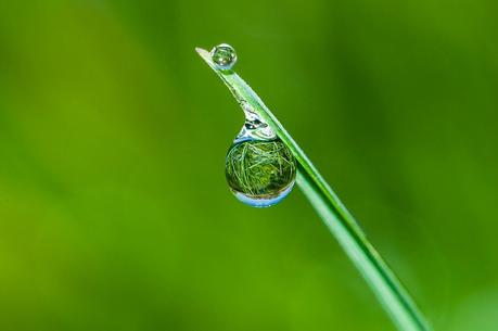 Ce noble néant Ce noble néant