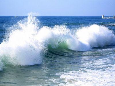 La vague est l'Océan ! avec Jacques Castermane