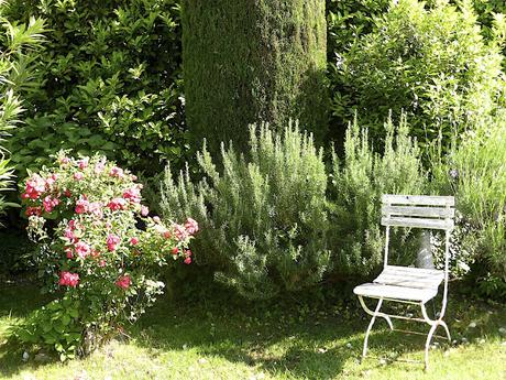 Le petit jardin du Mas Bleu Le petit jardin du Mas Bleu