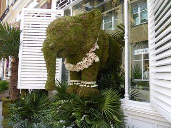 Un éléphant vert, ça n’existe pas ! Un éléphant vert, ça n’existe pas !