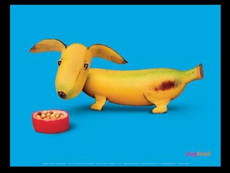 Divers - Quand le cuisinier s'ennuie 5 Divers - Quand le cuisinier s'ennuie 5