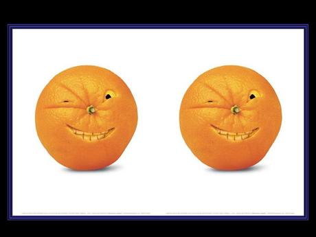 Divers - Quand le cuisinier s'ennuie 5 Divers - Quand le cuisinier s'ennuie 5