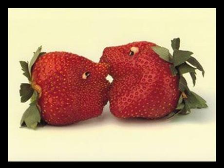 Divers - Quand le cuisinier s'ennuie 5 Divers - Quand le cuisinier s'ennuie 5