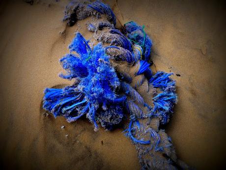 et jouissons du grain de sable et jouissons du grain de sable