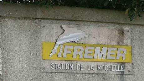 Le site de l'IFREMER de L'Houmeau fermera en 2018 au plus tard © FTV