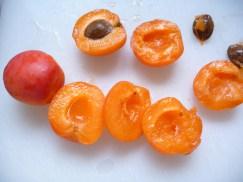 ABRICOTS ROTIS, AUX PISTACHES & AU THYM FRAIS P1270600