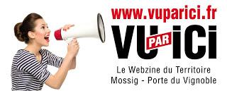 www.vuparici.fr grand gagnant Concours Fabrique Aviva dans catégorie 