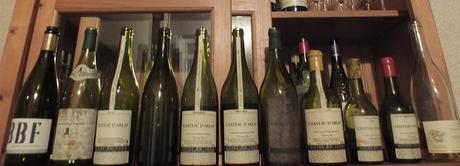 L'Arlay-sien existe : nous l'avons rencontré ! DSCF8974