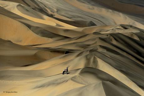 La photographie du jour Sergey Gorshkov