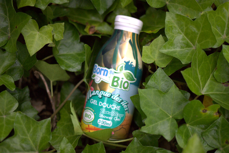 Match des gels douches bio – Weleda contre Born to Bio blog mode nantes gel douche born to bio mangue