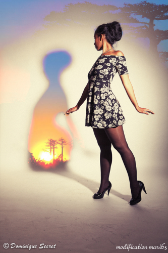 Souvenirs de l'autre bout du monde photo, graphisme, ombre, shadow, double exposure, double exposition, madagascar, crépuscule, arbre, baobab, soleil, coucher, sunset, dusk, twilight, tree, island, île, souvenirs, memories