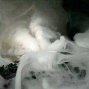 Exposition « Vasulka’s Variations » Steina et Woody Vasulka & SLIDERS_lab | Centre d’art le LAIT Albi Exposition « Vasulka’s Variations » Steina et Woody Vasulka & SLIDERS_lab | Centre d’art le LAIT Albi