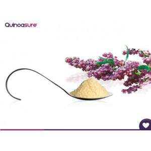 Quinoasure Ethnolatin quinoasure-bio-200g