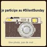 Silent-Sunday #8 Silent-Sunday #8