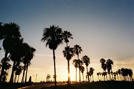 Balade à Venice Beach avec Louis Lepron venice-skate-park-louis-lepron-folkr-08