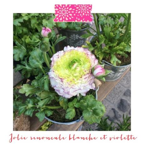 Comment ajouter du washi tape à ses photos ? Comment ajouter du washi tape à ses photos ?