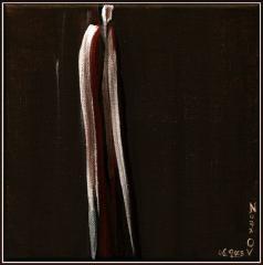 Foisonnement de Phantômes en juin 111Arts-NoblesseAme.jpg