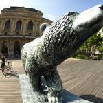 lours-du-theatre-des-celestins-2