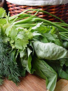 Gratin de Pâtes aux Lait, Herbes et Féta herbes
