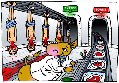 Réflexion autour d’une pub télévisée abattoir.jpg