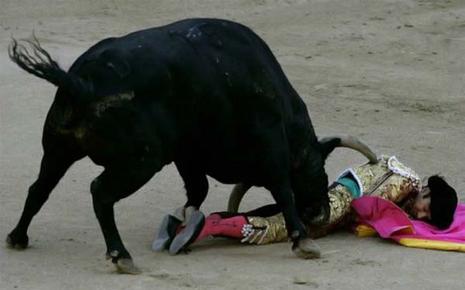 Le taureau embroche le torero