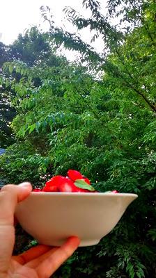 Des fraises pour le solstice Des fraises pour le solstice