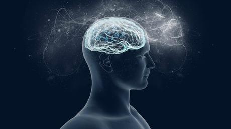 la conscience est-elle produite par le cerveau ? 652x367