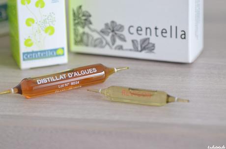 ( CENTELLA ) Été à l’horizon = Sus aux capitons ! ( CENTELLA ) Été à l’horizon = Sus aux capitons !