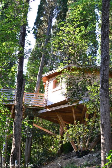 Séjour insolite : Les cabanes dans les bois, à Villalier Séjour insolite : Les cabanes dans les bois, à Villalier