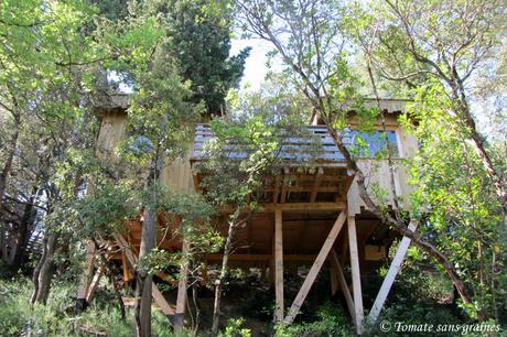 Séjour insolite : Les cabanes dans les bois, à Villalier Séjour insolite : Les cabanes dans les bois, à Villalier
