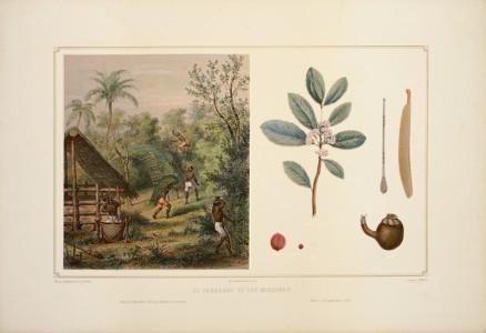 Le Paraguay et le Brésil vus par Demersay Le Paraguay et le Brésil vus par Demersay
