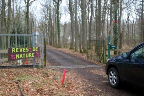 Reves de Nature - Les Andelys Reves de Nature - Les Andelys